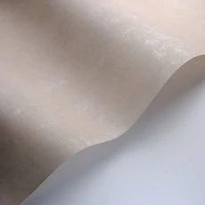 Kép 2/3 - Casadeco Elegáns pezsgő színű vlies tapéta kőhatású mintázattal Prague Stone Uni Champagne 53 cm X 10 m