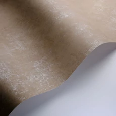 Kép 2/3 - Casadeco Elegáns krémes barna vlies tapéta kőhatású mintázattal Prague Stone Uni Cappuccino 53 cm X 10 m