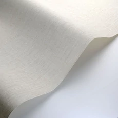 Kép 2/3 - Casadeco Texturált bézs vinyl tapéta Scribe Beige Parchemin 53 cm X 10 m