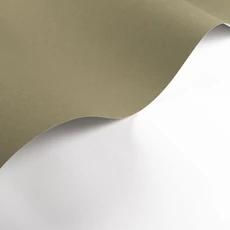 Kép 2/3 - Casadeco Matt keki vlies tapéta Pigments Vert Kaki 53 cm X 10 m