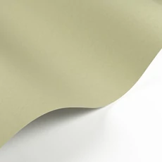 Kép 2/3 - Casadeco Matt barnás zöld vlies tapéta Pigments Argile Verte  53 cm X 10 m