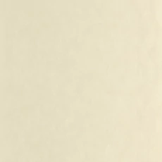 Kép 1/3 - Casadeco Modern levélmintás világos bézs vinyl tapéta Tarrazu Beige Sable 53 cm X 10 m