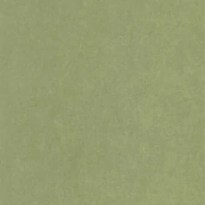 Kép 1/3 - Casadeco Zöld vlies tapéta Florescence Kiosque Vert Cactus 53 cm X 10 m