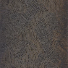 Kép 1/3 - Casadeco Moaré mintás elegáns fekete vlies tapéta Infusion Noir 53 cm X 10 m