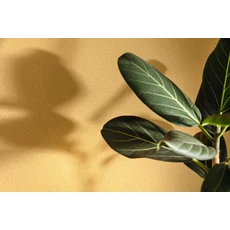 Kép 3/3 - Caselio Halszálka mintás okkersárga vinyl tapéta Chevron Uni Ocre 53 cm X 10 m