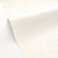 Kép 2/3 - Caselio Elegáns texturált törtfehér vinyl tapéta gyöngyházzal Patine Uni Beige Claire Nacre 53 cm X 10 m