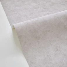 Kép 2/3 - Caselio Beton hatású szürke vinyl tapéta Beton Uni Gris Beton Moyen 53 cm X 10 m