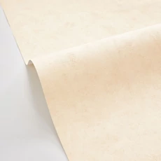 Kép 2/3 - Caselio Beton hatású púderes bézs vinyl tapéta Beton Uni Rose Des Sables 53 cm X 10 m