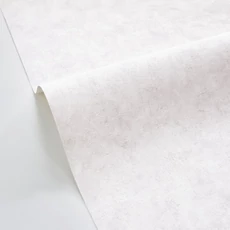 Kép 2/3 - Caselio Beton hatású szürke vinyl tapéta Beton Uni Gris Beton Clair 53 cm X 10 m