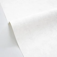 Kép 2/3 - Caselio Beton hatású halványszürke vinyl tapéta Beton Uni Gris Clair 53 cm X 10 m