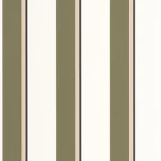 Kép 1/3 - Caselio Elegáns csíkos zöld vinyl tapéta fekete szegéllyel Linear Vert Kaki 53 cm X 10 m