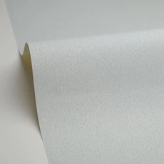 Kép 2/3 - Caselio Halszálka mintás halványzöld vinyl tapéta Chevron Uni Vert Sauge 53 cm X 10 m