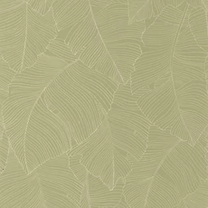 Kép 1/3 - Caselio Nagy levél mintás modern keki zöld vinyl tapéta Vegetalia Kaki 53 cm X 10 m