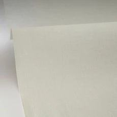 Kép 2/3 - Caselio Lenvászon hatású világoszöld vinyl tapéta Uni Mat Vert D'Eau 53 cm X 10 m