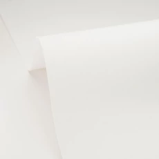 Kép 2/3 - Caselio Fa hatású fehér vinyl tapéta Uni Lignosa Blanc 53 cm X 10 m