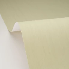 Kép 2/3 - Caselio Fa hatású zöld vinyl tapéta Uni Lignosa Sauge 53 cm X 10 m