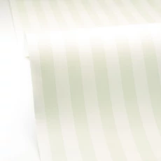 Kép 2/3 - Caselio Modern vékony csíkos halványzöld vinyl tapéta Talea Vert D'Eau 53 cm X 10 m