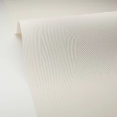 Kép 2/3 - Caselio Vonalmintás modern krém színű vlies tapéta Terra Craie 53 cm X 10 m