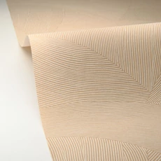 Kép 2/3 - Caselio Vonalmintás modern barna vlies tapéta Terra Gres Des Vosges 53 cm X 10 m