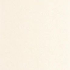 Kép 1/3 - Caselio Botanikai mintás törtfehér vinyl tapéta Delora Blanc 53 cm X 10 m