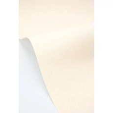 Kép 2/3 - Caselio Botanikai mintás törtfehér vinyl tapéta Delora Blanc 53 cm X 10 m