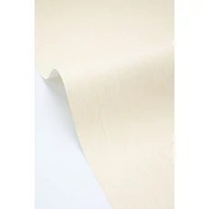 Kép 2/3 - Caselio Ekrü vinyl tapéta Uni Mat Ecru 53 cm X 10 m