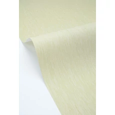 Kép 2/3 - Caselio Világoszöld vinyl tapéta Uni Mat Vert Amande 53 cm X 10 m