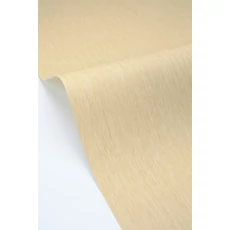 Kép 2/3 - Caselio Bézs vinyl tapéta Uni Mat Sable 53 cm X 10 m