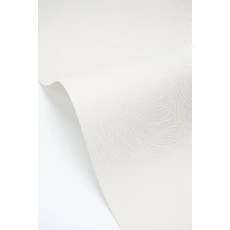 Kép 2/3 - Caselio Vonalmintás elegáns fehér vlies tapéta Storm Blanc 53 cm X 10 m