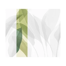 Kép 1/2 - JV Trópusi levélmintás zöld vinyl poszter tapéta Davao Summer 68 cm X 3 m