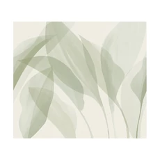 Kép 1/2 - JV Trópusi levélmintás zöld vinyl poszter tapéta Davao Sage 340 cm X 3 m