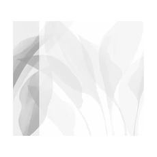 Kép 1/2 - JV Trópusi levélmintás szürke vinyl tapéta Davao Grey 68 cm X 3 m