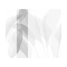 Kép 1/2 - JV Trópusi levélmintás szürke vinyl tapéta Davao Grey 68 cm X 3 m