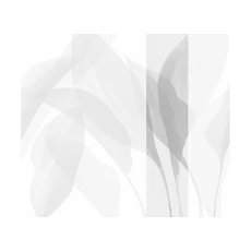 Kép 1/2 - JV Trópusi levélmintás szürke vinyl tapéta Davao Grey 68 cm X 3 m