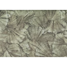 Kép 1/2 - JV Elegáns kagyló mintás zöld vinyl tapéta Teti Green 70 cm X 10 m