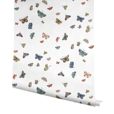 Kép 4/7 - York Bájos pillangós fehér-színes vlies tapéta finom arany részletekkel Butterfly House White 68,58 cm X 8,22 m