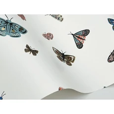 Kép 5/7 - York Bájos pillangós fehér-színes vlies tapéta finom arany részletekkel Butterfly House White 68,58 cm X 8,22 m