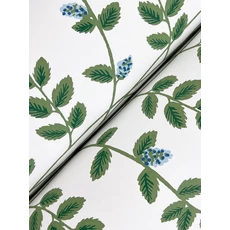 Kép 3/7 - York Kúszó levelek fehér-zöld vlies tapéta arany részletekkel Climbing Vine White & Blue 68,58 cm X 8,22 m