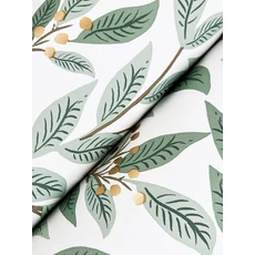 Kép 3/7 - York Modern levélmintás zöld-fehér vlies tapéta Willowberry Sage & White 52 cm X 10 m