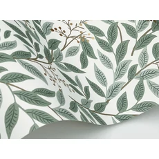 Kép 5/7 - York Modern levélmintás zöld-fehér vlies tapéta Willowberry Sage & White 52 cm X 10 m