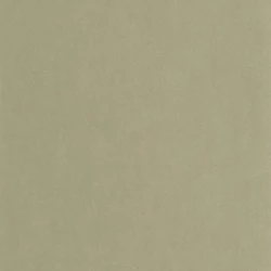 Casadeco Levélmintás elegáns sárgás zöld vinyl tapéta Masaya Vert Lichen 53 cm X 10 m