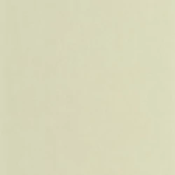 Casadeco Texturált pezsgő színű vinyl tapéta Nest Vert The 53 cm X 10 m