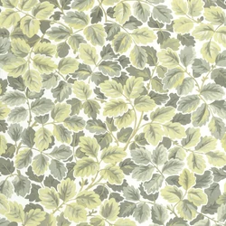 Casadeco levél mintás zöld vlies tapéta Regent's Park Amande 53 cm X 10 m