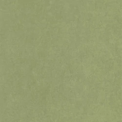 Casadeco Zöld vlies tapéta Florescence Kiosque Vert Cactus 53 cm X 10 m