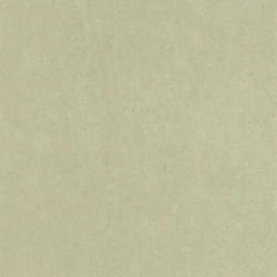 Casadeco Zöld vlies tapéta Florescence Kiosque Vert Sauge 53 cm X 10 m