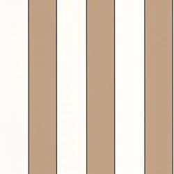 Caselio Elegáns csíkos barna vinyl tapéta fekete széllel Moonlight Golden Lines Camel Blanc 53 cm X 10 m