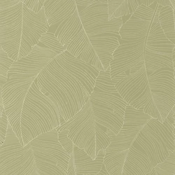 Caselio Nagy levél mintás modern keki zöld vinyl tapéta Vegetalia Kaki 53 cm X 10 m