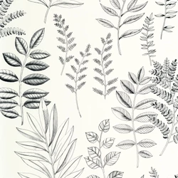 Caselio Nagy levél mintás fekete-fehér vinyl tapéta Florium Noir Blanc 53 cm X 10 m