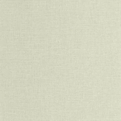 Caselio Szövethetású halványzöld vinyl tapéta Uni Mat Vert Jade 53 cm X 10 m