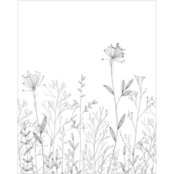 Caselio Botanikai mintás fekete-fehér vlies poszter tapéta Field Line Noir Et Blanc 50 cm X 3 m